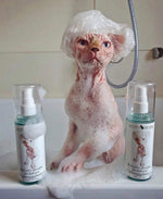 Load image into Gallery viewer, Sphynx cat Shampoo for Naked and Hairless Cats 120 ml with Foam Pump