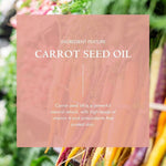 Load image into Gallery viewer, Organic Face Serum With Antioxidants Pumpkin Vitamin E Rejuvenates Skin 1 oz