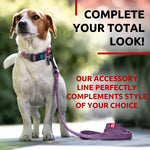Load image into Gallery viewer, Recycled Cotton Dog Leash 6 Ft 10 Ft Eco Friendly Collar for Small Medium & Large Dogs Reflective Dog Leash for Medium Dogs Strong Leashes for Large Breed Dogs Puppy Leash for Small Dogs