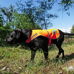 Load image into Gallery viewer, Reflective Dog Vest Hi-Vis XL Size 42 in Chest x 21.75 in Neck Orange