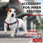 Load image into Gallery viewer, Nylon Dog Leash for Small Medium Dogs 4 Ft Strong Dog Leash Colorful Heavy Duty
