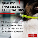 Load image into Gallery viewer, Ultra Soft Rolled Leather Dog Collar for Small Dogs Soft Padded Dog Collars for Medium Dogs Puppy Collars for Large Breed Dogs Male and Female Dog Collar
