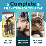 Load image into Gallery viewer, Hemp Cat Calming Treats for Stress & Anxiety Relief Cat & Kittens Melatonin