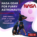 Load image into Gallery viewer, Nylon Dog Leash for Small Dogs and Medium Dogs 4 Ft x 3/5 inch Wide NASA Color