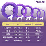 Load image into Gallery viewer, Dog Ring Fetch Toy Small Dogs Mini Size 2 Rings Purple