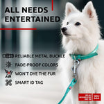 Load image into Gallery viewer, Ultra Soft Rolled Leather Dog Collar for Small Dogs Mint 8 10 inch Neck Soft