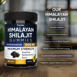 Load image into Gallery viewer, Shilajit Gummies 1000mg for Men Women Vegan Sugar Free Pineapple Flavor 60