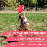 Load image into Gallery viewer, Dog Frisbee Toy Safe for Teeth Outdoor Floating Flying Disk for Small Medium Dog