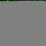 Load image into Gallery viewer, Garden Flag Home St. Patrick's Day Gnome with Green Heart 12x18 Blockout Fabric