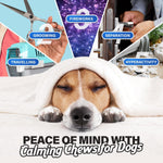 Load image into Gallery viewer, Calming Chews for Dogs Anxiety Relief Dog Calming Chews 90 Pcs Chicken Flavor