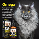 Load image into Gallery viewer, Hеmp and Salmon Oil for Dogs Skin Coat Hеalth 3 6 9 Omega Calming Treat 1 fl oz