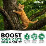 Load image into Gallery viewer, Hip and Joint Supplement for Cats Glucosamine Chews 120 Soft Chews