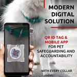 Load image into Gallery viewer, Ultra Soft Rolled Leather Dog Collar for Small Dogs Mint 8 10 inch Neck Soft