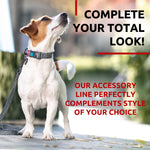 Load image into Gallery viewer, Recycled Cotton Dog Leash 3/5 inch x 6 Ft Eco Friendly for Small Medium Large