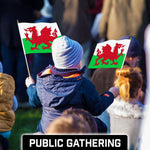 Load image into Gallery viewer, G128 30 Pack Handheld Wales Welsh Stick Flags 12x18 In Printed 150D Polyester, Country Flag, Solid Wooden Stick, Spear Gold Tip