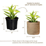 Load image into Gallery viewer, Jute Planter Basket Set of 2 Woven Jute Rope Covers for Decorating Indoor Outdoor Succulents Small Plant Pots Multi Purpose Storage Bins 6.5 Inches Modern Style Décor Brown