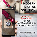Load image into Gallery viewer, Nylon Dog Collar Size 14 23 in Neck x 1 in Wide Adjustable Dog Collar for