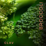 Load image into Gallery viewer, Broccoli Sprout Extract Capsules Premium Sulforaphane Supplement with 100mg
