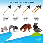Load image into Gallery viewer, Kennel Cough Supplement for Dogs & Cats Cold & Cough Relief