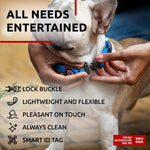 Load image into Gallery viewer, Waterproof Dog Collar 10-16 inch Neck x 4/5 inch Wide Plastic Buckle Adjustable Dog Collar for Large Dogs Small and Medium Dogs Breakaway Dog Collar Waterproof with Plastic Buckle and QR Dog Tag Boy & Girl Dog Collars (Blue)