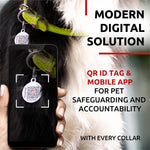 Load image into Gallery viewer, Rolled Leather Dog Collar Padded All Sizes 15 - 19 in Neck Green