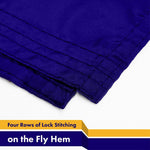 Load image into Gallery viewer, G128 5 Pack: New Hampshire NH State Flag 3x5 Ft LiteWeave Pro Series Printed 150D Polyester Indoor/Outdoor, Vibrant Colors, Brass Grommets, Thicker and More Durable Than 100D 75D Polyester