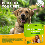 Load image into Gallery viewer, Natural Flea & Tick Collar for Dogs 6 Months Control of Best Prevention & Safe Treatment Anti Fleas and Ticks Essential Oil Repellent (1 Pack 2 Count)