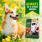 Load image into Gallery viewer, Dog Calcium Bones Wrapped Chicken & Rawhide Free Chew Treats Pet Healthy