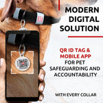 Load image into Gallery viewer, Leather Dog Collar XSmall Dogs 8–11 in Neck x 0.5 in Wide Black