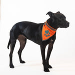 Load image into Gallery viewer, Reflective Dog Bandana Hi-Vis S Size 10 in Neck Orange