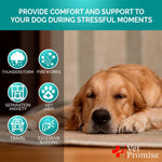Load image into Gallery viewer, Advanced Calming Chews for Dogs Hemp Dog Calming Chews Anxiety Relief with Melatonin Stress & Separation Anxiety Sleep Aid Hip and Joint Supplement Support Made in USA 70 Treats