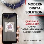 Load image into Gallery viewer, Ultra Soft Rolled Leather Dog Collar 8-10 inch Neck for Small Dogs Soft Padded Dog Collars for Medium Dogs Puppy Collars for Large Breed Dogs Male and Female Dog Collar