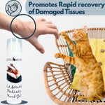 Load image into Gallery viewer, Cat Scratch Probiotic Hand Gel 50 ml Hygienic Treatment for Kitten Owners