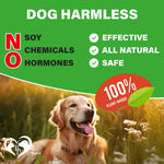 Load image into Gallery viewer, Dog Hip and Joint Supplement & Arthritis Pain Relief Treats Glucosamine Chondroitin MSM Soft Chews for Senior Dogs Natural Medicine & Support Mobility Turmeric Vitamins for Dysplasia USA