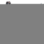 Load image into Gallery viewer, Nylon Dog Leash for Small Dogs and Medium Dogs 4 Ft x 3/5 inch Wide NASA Design