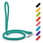 Load image into Gallery viewer, Rolled Leather Dog Leash 4Ft * 0.4 in for Small Medium and Large Dogs Heavy Duty Leather Puppy Leash for Outdoor Walking Running Training Strong Dog Leashes for Large Breed Dogs (Mint)