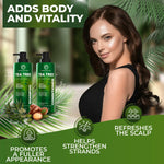 Load image into Gallery viewer, Tea Tree Shampoo and Conditioner Set Sulfate Free 14 Fl Oz Set of 2 Anti Dandruff Hair Care for Men and Women Cleansing Formula for Itchy Scalp and Oil Control