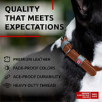 Load image into Gallery viewer, Brown Long Lasting Leather Dog Collar for Small Dogs Adjustable 1114 in Neck