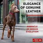Load image into Gallery viewer, Pink Long Lasting Leather Dog Collar for Large Dogs Adjustable 1520 inch Neck