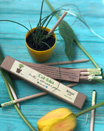 Load image into Gallery viewer, Living growing seed sprout wood pencil kid's garden kit children's garden seed kit grow your own garden kit perfect for kids and adults