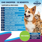 Load image into Gallery viewer, Cat & Dog Liquid Multivitamin Glucosamine & Cranberry