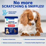 Load image into Gallery viewer, Dog Allergy Relief Chews Itching Skin Relief for Dogs Fish Oil Omega 3 Seasonal Allergies Pills Skin & Coat Anti Itch Hot Spots Treatment Canine Immune Health Supplement 70 Soft Treats