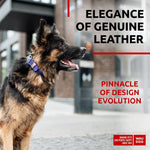 Load image into Gallery viewer, Purple Long Lasting Leather Dog Collar for Large Dogs 1520 in Neck x 1 in