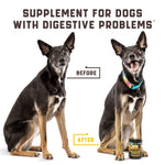 Load image into Gallery viewer, Green & Beautiful Lawn: Reduce yellow patches with green lawn chews for healthy dogs! Easy lower nitrogen in dog urine and deal with unwanted yellow burn spots. Try an amazing grass saver for a clean and vibrant yard! Gut Health for Dogs: Burn spots