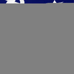 Load image into Gallery viewer, American USA Yacht Ensign Nautical Flag 20x30 In Embroidered 210D Poly