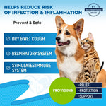 Load image into Gallery viewer, Kennel Cough Supplement for Dogs & Cats Cold & Cough Relief