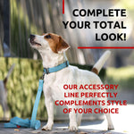 Load image into Gallery viewer, Blue Recycled Cotton Dog Leash 6 Ft Eco Friendly Collar for Small Dogs