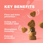 Load image into Gallery viewer, Dog Insects Treatment Chews Prevention for Dogs Natural Dog Insects Control