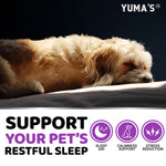 Load image into Gallery viewer, Melatonin Calming Chews for Dogs 170 Chews Dog Stress and Anxiety Relief