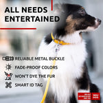 Load image into Gallery viewer, Ultra Soft Rolled Leather Dog Collar 2124 inch Neck Yellow Padded Dog Collars